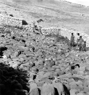Exposition “Paysages façonnés”