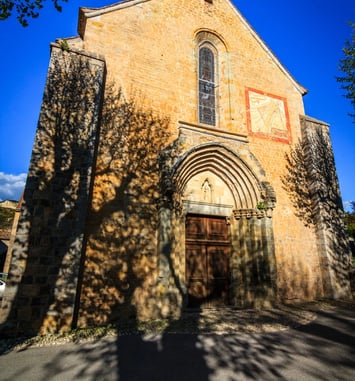 Visite exceptionnelle de l'ancienne cathédrale et de la cité épiscopale de Senez