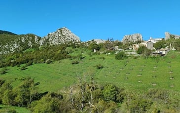 Visite du jardin verger avec des bénévoles de l'association