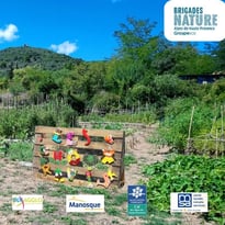 Visite découverte du jardin partagé Les Choux Ravis