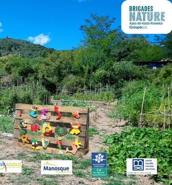 Visite découverte du jardin partagé Les Choux Ravis