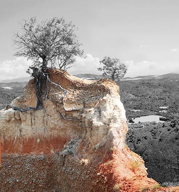 Vertiges Temporels
