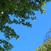 Visite guidée du centre historique de Manosque