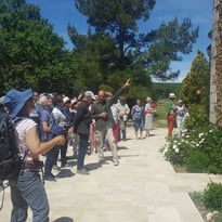 Visite guidée historique et chant grégorien