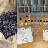Gin XII : Histoire, savoir-faire et atelier