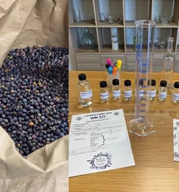 Gin XII : Histoire, savoir-faire et atelier