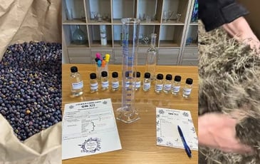 Gin XII : Histoire, savoir-faire et atelier