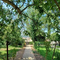 Rallye nature dans les jardins de Jean Giono