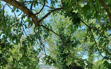Rallye nature dans les jardins de Jean Giono
