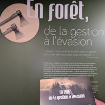 Visite guidée En forêt, de la gestion à l'évasion