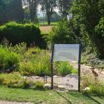 Visite guidée les Bonnes Herbes