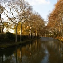 Conférence "Des paysages en héritage. Récits d'arbres en Méditerranée" par Véronique Mure