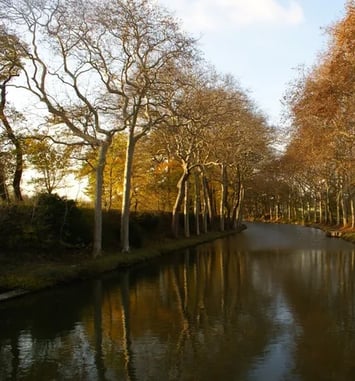 Conférence "Des paysages en héritage. Récits d'arbres en Méditerranée" par Véronique Mure