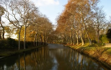 Conférence "Des paysages en héritage. Récits d'arbres en Méditerranée" par Véronique Mure