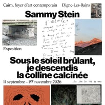 Visite commentée de l'exposition de Sammy Stein