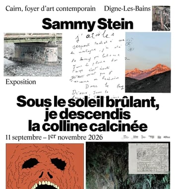 Visite commentée de l'exposition de Sammy Stein
