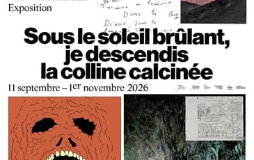 Visite commentée de l'exposition de Sammy Stein