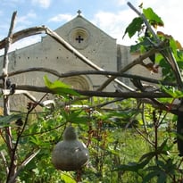 Visite Les plantes qui soignent