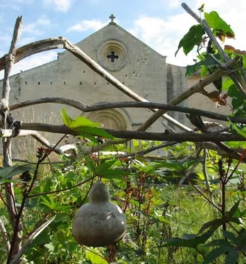 Visite Les plantes qui soignent