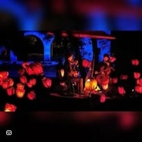 Le chant des coquelicots