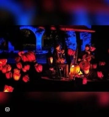 Le chant des coquelicots
