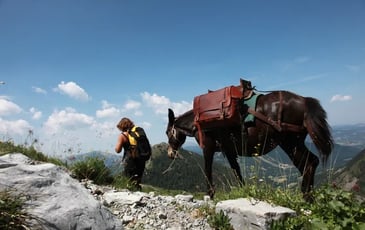 Mulet et environnement naturel