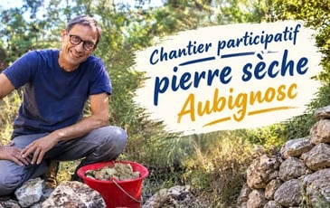 Paroles de pierres : stage/chantier participatif pierre sèche