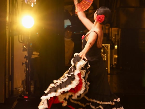 Flamenco par la compagnie ArteSano